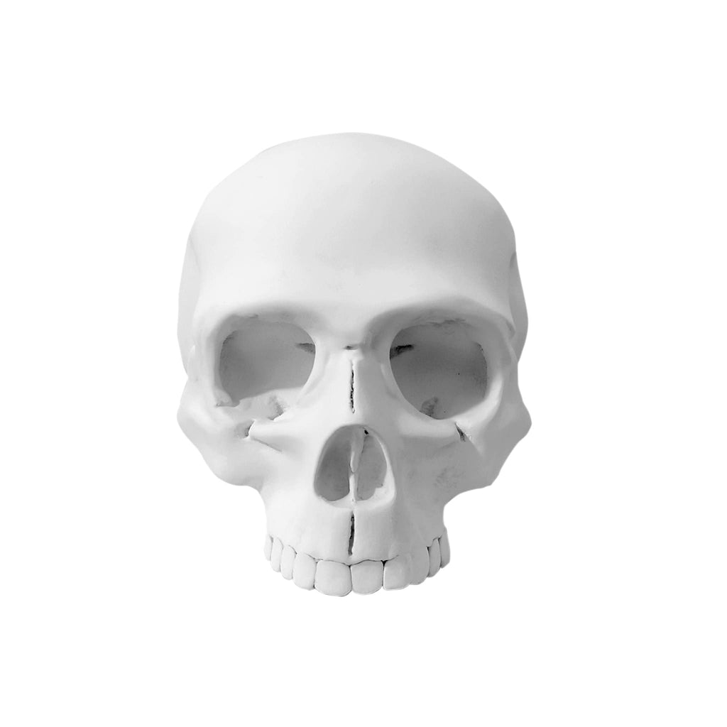 Paliacate Blanco Skull L